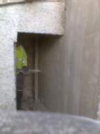castlepark gate -  20865.jpg